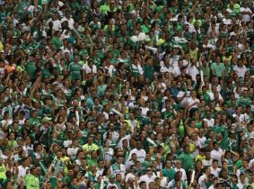 No hay tregua: Hinchas del Cali resultaron heridos en Argentina